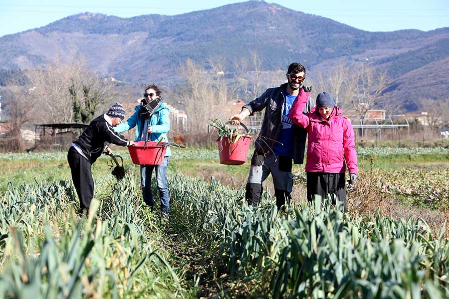 La Fonte | Cercina | Associazione volontariato