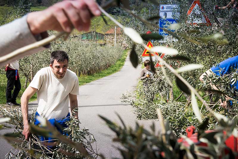 La Fonte | Cercina | Cooperativa agricola