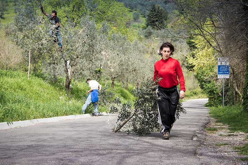 La Fonte | Cercina | Cooperativa agricola