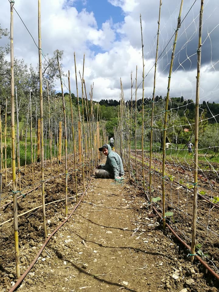 Progetti | La Fonte | Cercina |
